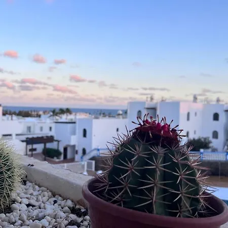 360º Panoramic View شقة *